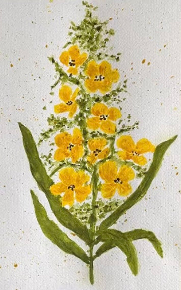 Watercolor Wildflowers