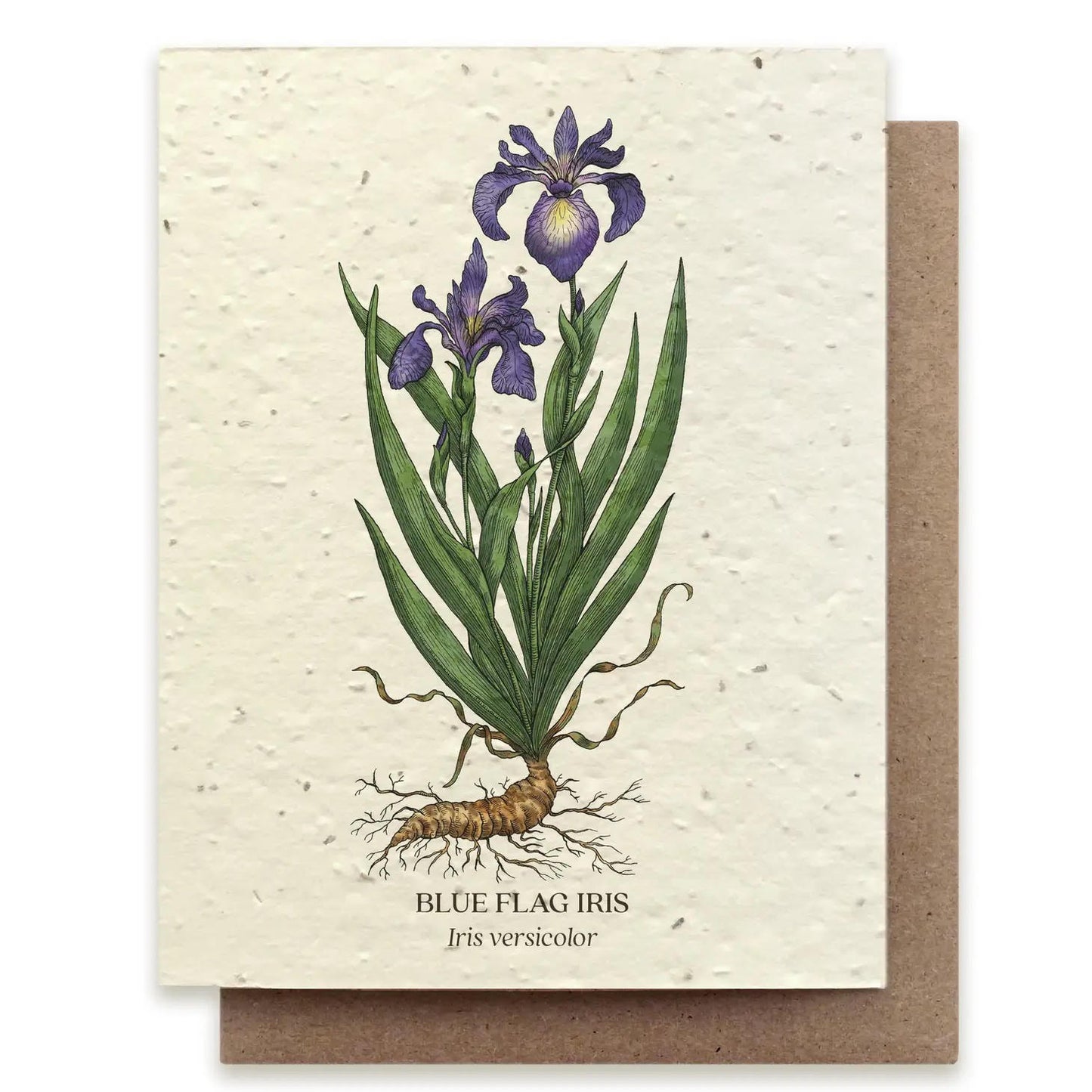 Plantable Greeting Card