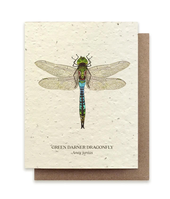 plantable Greeting Card