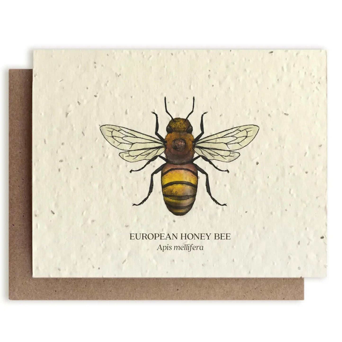 Plantable Greeting Card