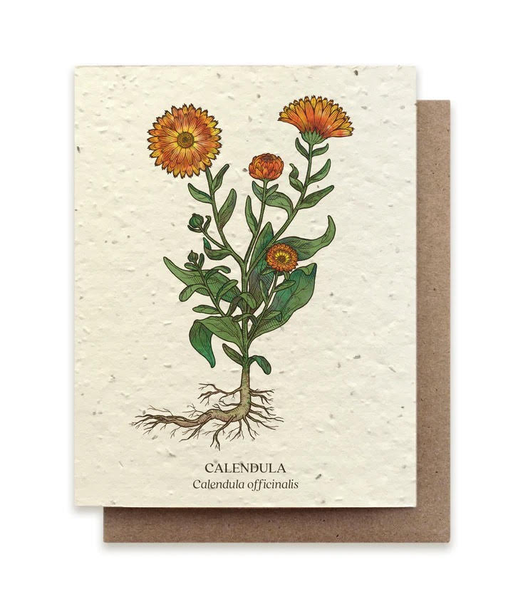 Plantable Greeting Card