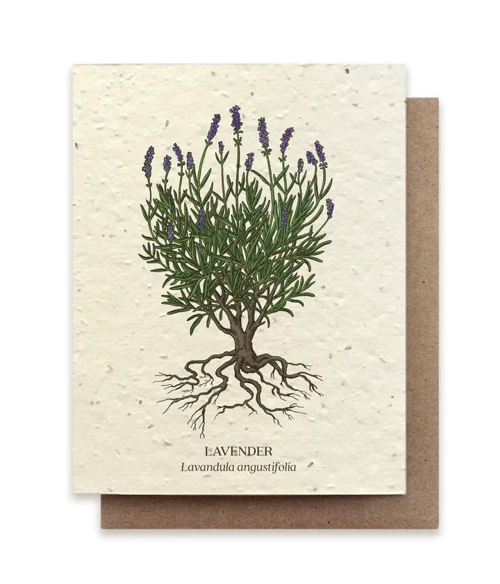 Plantable Lavender Greeting Card